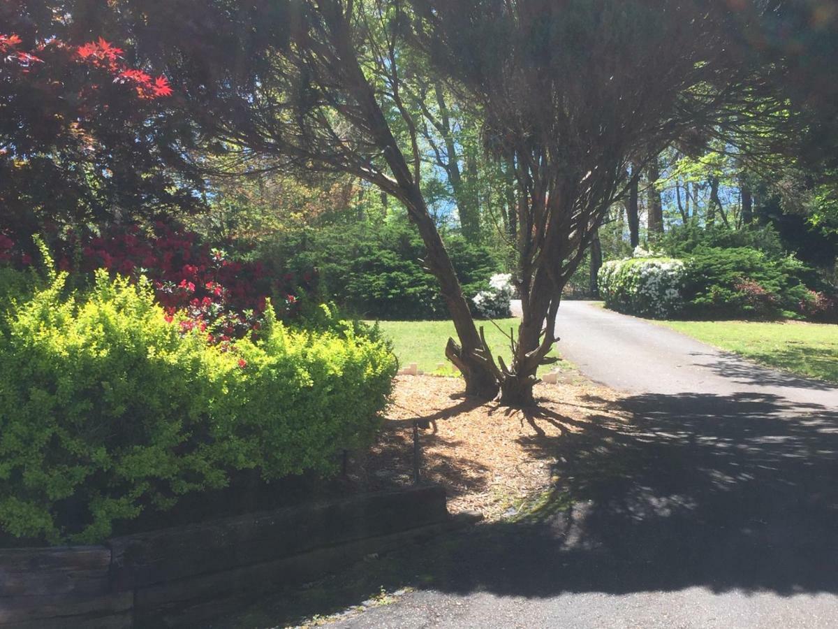 Hidden Valley B&B ハイアワシー エクステリア 写真
